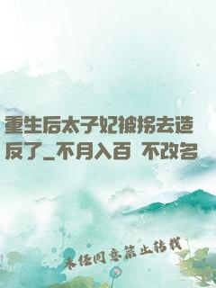 重生后太子妃被拐去造反了