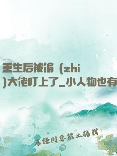 重生后被偏執(zhí)大佬盯上了
