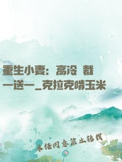 重生小妻：高冷總裁買一送一