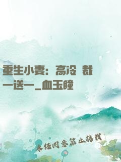重生小妻：高冷總裁買一送一
