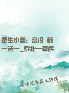 重生小妻：高冷總裁買一送一
