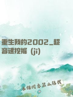 重生我的2002