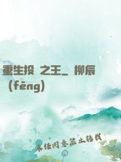 重生投資之王