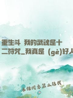 重生斗羅我的武魂是十二符咒
