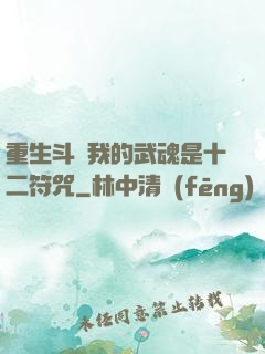 重生斗羅我的武魂是十二符咒