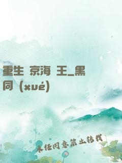 重生維京海盜王