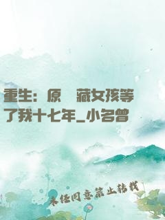 重生：原來寶藏女孩等了我十七年