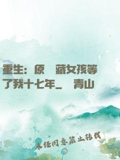 重生：原來寶藏女孩等了我十七年