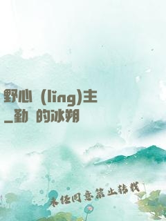 野心領(lǐng)主