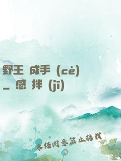 野王煉成手冊(cè)