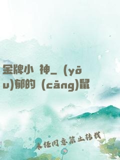 金牌小廚神