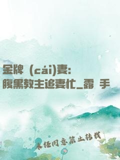 金牌財(cái)妻：腹黑教主追妻忙