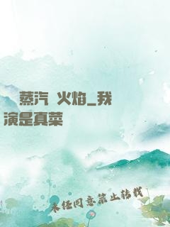 鋼鐵蒸汽與火焰