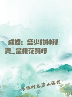 錯愛成婚：盛少的神秘嬌妻