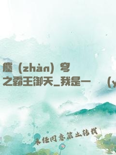 鏖戰(zhàn)蒼穹之霸王御天