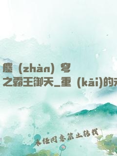 鏖戰(zhàn)蒼穹之霸王御天