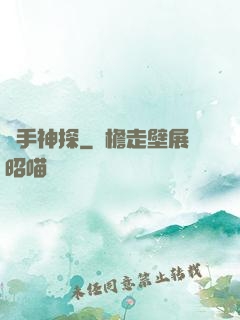鐵手神探