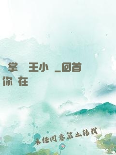 鐵掌無敵王小軍