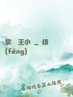 鐵掌無敵王小軍