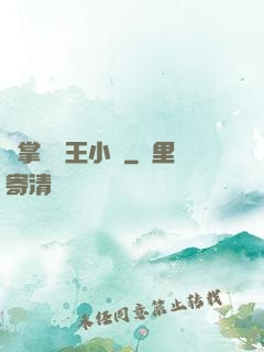 鐵掌無敵王小軍