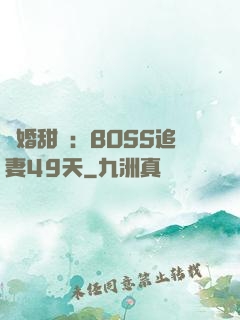 閃婚甜愛：BOSS追妻49天