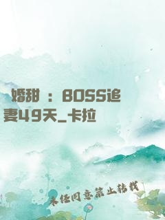 閃婚甜愛：BOSS追妻49天