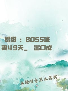 閃婚甜愛：BOSS追妻49天