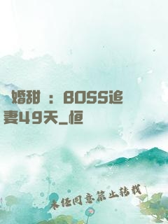 閃婚甜愛：BOSS追妻49天