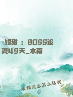 閃婚甜愛：BOSS追妻49天