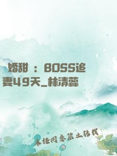 閃婚甜愛：BOSS追妻49天