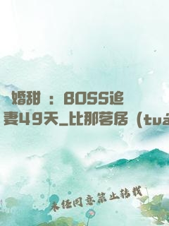 閃婚甜愛：BOSS追妻49天