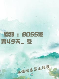 閃婚甜愛：BOSS追妻49天