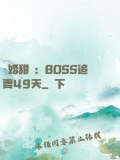 閃婚甜愛：BOSS追妻49天