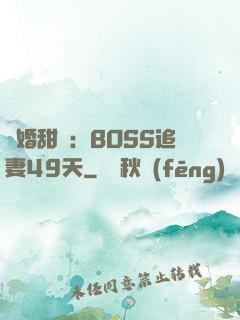 閃婚甜愛：BOSS追妻49天