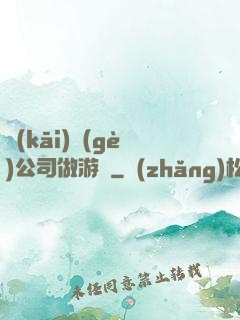 開(kāi)個(gè)公司做游戲