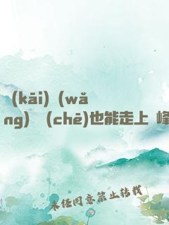 開(kāi)網(wǎng)約車(chē)也能走上巔峰，簡(jiǎn)直胡鬧