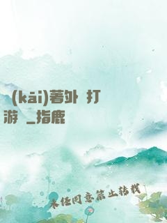 開(kāi)著外掛打游戲