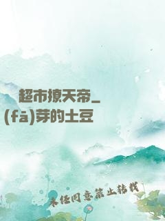 開個超市撩天帝