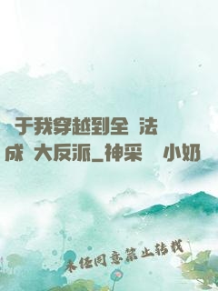 關于我穿越到全職法師成為大反派