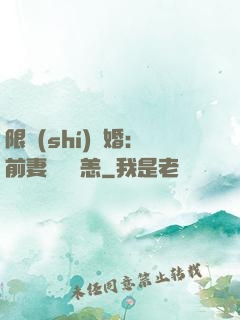 限時(shí)閃婚：前妻別來無恙