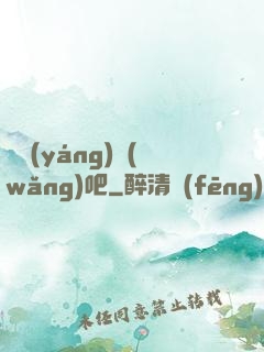 陰陽(yáng)網(wǎng)吧