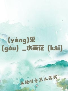 陰陽(yáng)采購(gòu)員
