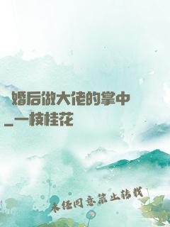 隱婚后做大佬的掌中嬌
