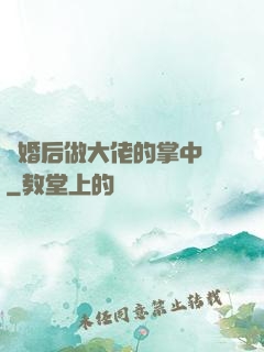 隱婚后做大佬的掌中嬌