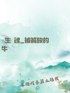 雙生軍魂
