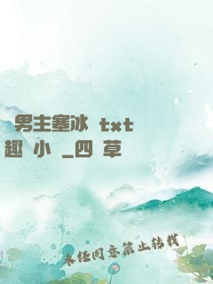 雙男主塞冰塊txt筆趣閣小說