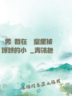 雙男總裁在會議室里被爆炒的小說