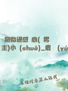 雙胞胎通感夾心(雙男主)小說(shuō)