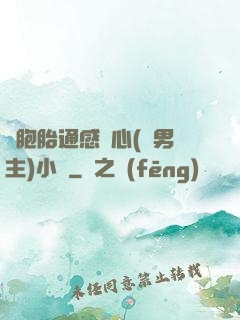 雙胞胎通感夾心(雙男主)小說