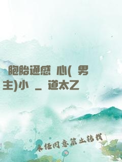 雙胞胎通感夾心(雙男主)小說